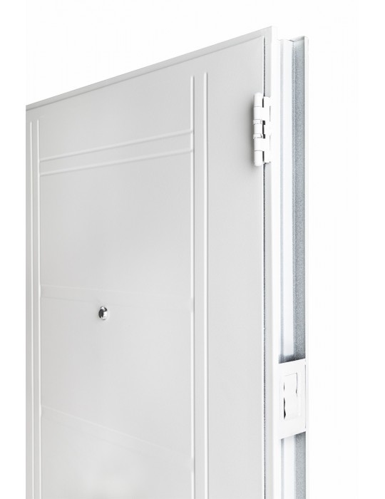 Puerta Premium de chapa inyectada c/barral curvo de 0,85 x 2,05