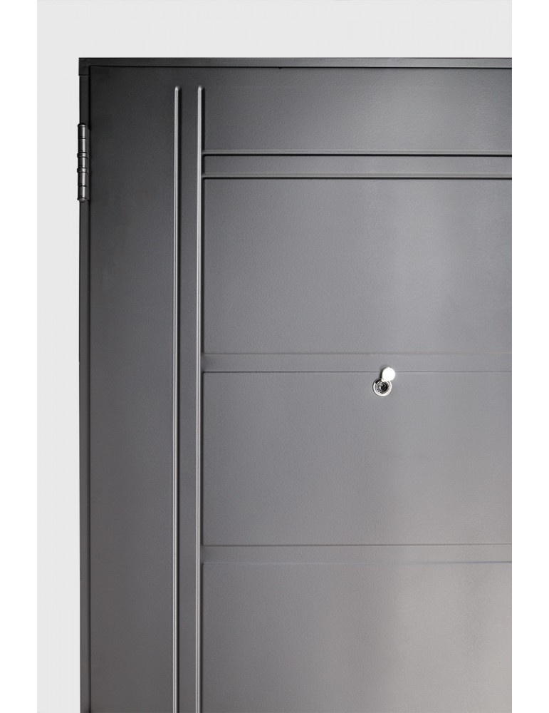 Puerta Premium de chapa inyectada c/barral curvo