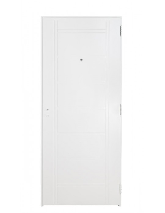 Puerta Premium de chapa inyectada c/barral recto de 0,85 x 2,05