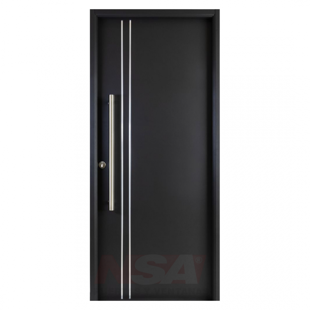 Puerta de chapa inyectada Linea Deluxe Style Lisa 2 líneas color negra con barral.