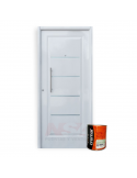 Puerta de chapa inyectada Mod. 206 c/barral recto y apliques + Kit base chapa blanca.