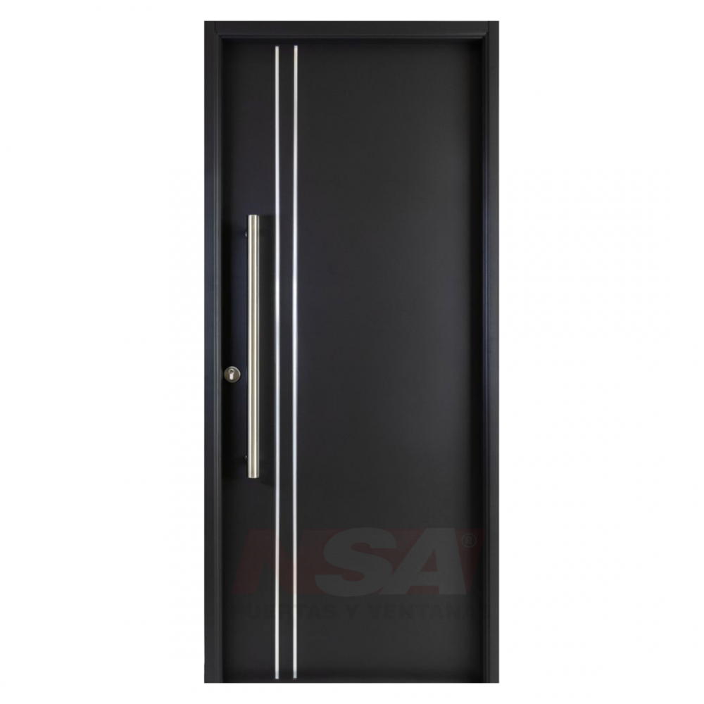 Puerta de chapa inyectada Linea Semipremium Mod. Lisa 2 apliques verticales