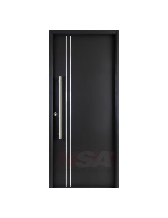 Puerta de chapa inyectada Linea Semipremium Mod. Lisa 2 apliques verticales