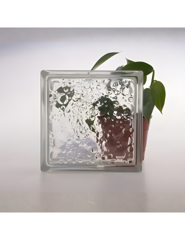 Ladrillos de vidrio trans. Mod. Savona. Medidas 19 x 19 x 8 cm. 2